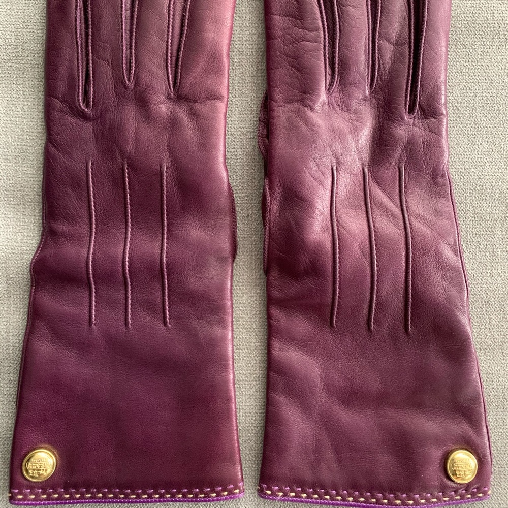 Coach gloves